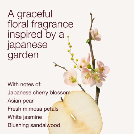 لوسیون بدن Japanese Cherry Blossom بث اند بادی